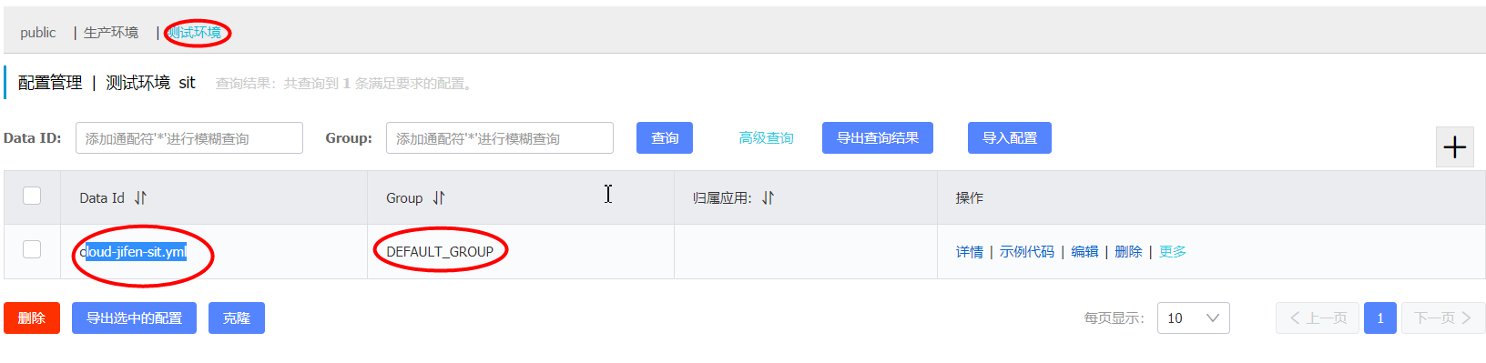 Nacos 控制台新建配置（三）