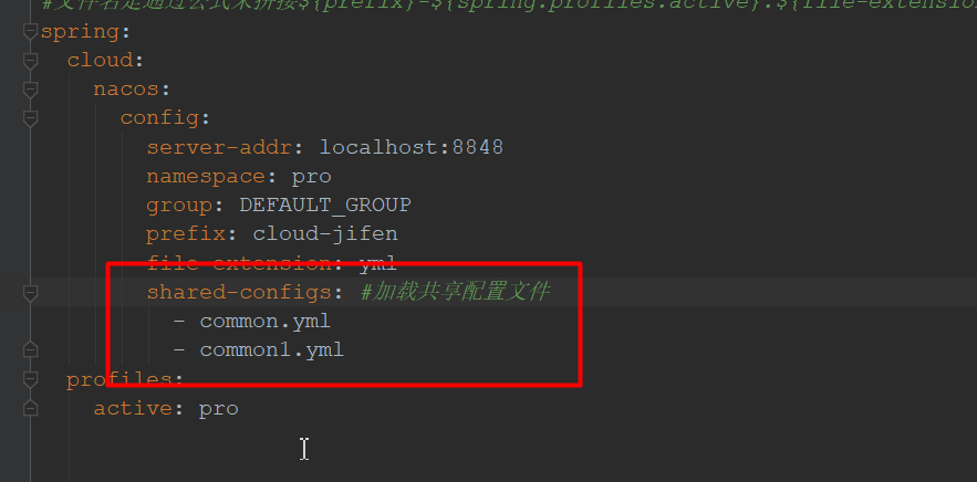 bootstrap.yml 中声明共享配置（一）